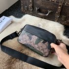 Coach High Quality Handbags 210