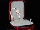 Cartier Jewelry Bracelets 422