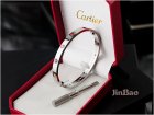 Cartier Jewelry Bracelets 252