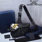 DIOR Original Quality Handbags 174