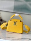Louis Vuitton Original Quality Handbags 2244