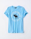 Abercrombie & Fitch Women's T-shirts 02
