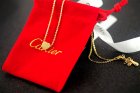 Cartier Jewelry Necklaces 12