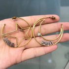 Dior Jewelry Earrings 317