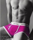 Calvin Klein Men's Underwear 101