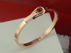 Cartier Jewelry Bracelets 443