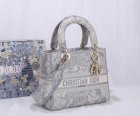 DIOR Original Quality Handbags 127
