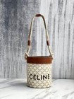 CELINE High Quality Handbags 302
