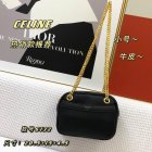 CELINE Original Quality Handbags 369