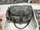 DIOR Original Quality Handbags 81