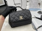 Chanel Original Quality Handbags 495