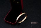 Cartier Jewelry Bracelets 219